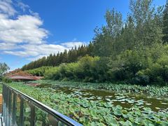 -黄海国家森林公园