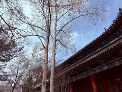 -碑林公园