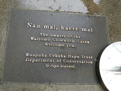 -怀托摩萤火虫洞