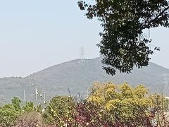 -无锡梅园公园