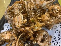 椒盐濑尿虾-九號渔港·蒸汽海鲜·粤菜茶点(八卦岭店)
