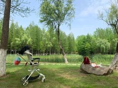 -暨阳湖生态园