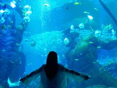 -波塞冬旅游度假区