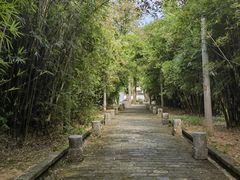 -羊楼洞
