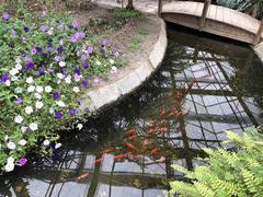 -晶宝温泉农庄