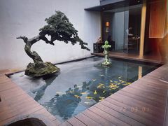 -觀芷隐轩