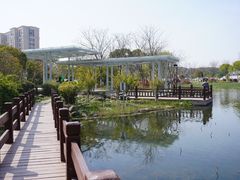 -海天湖公园