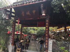 -青城甲(青城山店)