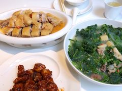 上汤桑叶-至潮餐厅精致粤菜·活鲈鱼·走地鸡(珠江新城店)