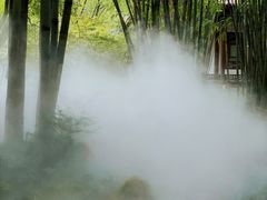 -望江楼公园