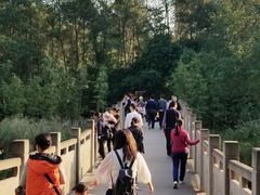 -重庆彩云湖湿地公园