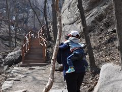 -大岭沟猕猴桃谷风景区