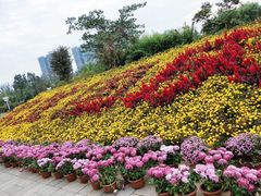 -济南国际园博园