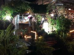 -Jungle Kitchen