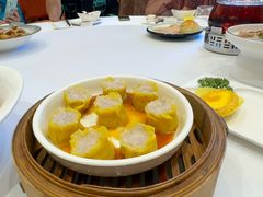 海港鱼茸烧卖-新成海港大酒楼(康华路店)