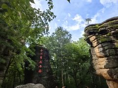 -汤旺河林海奇石景区