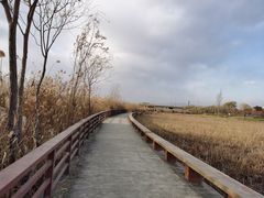 -绿堤公园