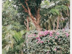 -三亚亚龙湾天域度假酒店