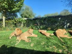 -北京野生动物园