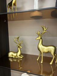 -熙朵美学植发·连锁品牌