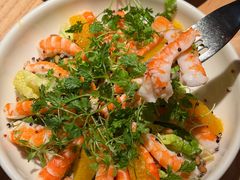 -O'eat Blossom&Pelican(深圳首店)