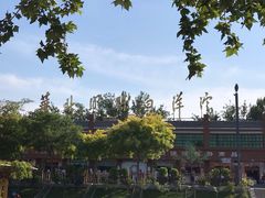 -白洋淀景区