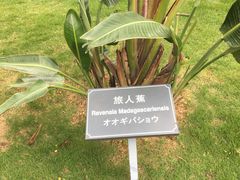 -厦门悦华酒店