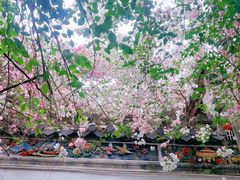 -深圳国际园林花卉博览园