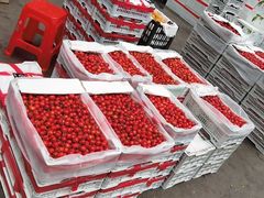 -西郊国际农产品交易中心