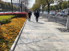 -国家会展中心-P3停车场