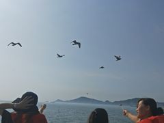 -海驴岛(荣成市)