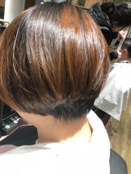 -Mentor Hair Salon