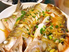 -竹海山庄餐饮民宿