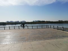 -大兴滨河森林公园