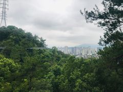 -金鸡山公园