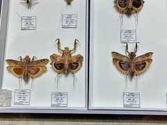 -烟台市博物馆