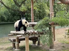 -上海野生动物园