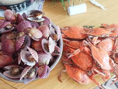 -东戴河风景区-止锚湾