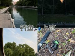 -南长河公园