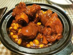 板栗炖猪蹄-玉桥餐厅(天坛店)