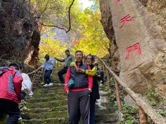 -天女山森林公园