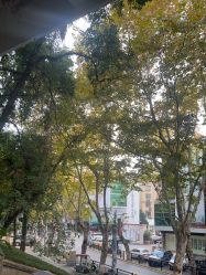 点击看大图 -星光兔·西扶海棠·写真馆(景德镇店)