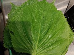 -晓燃地摊烤肉(朝阳双桥店)