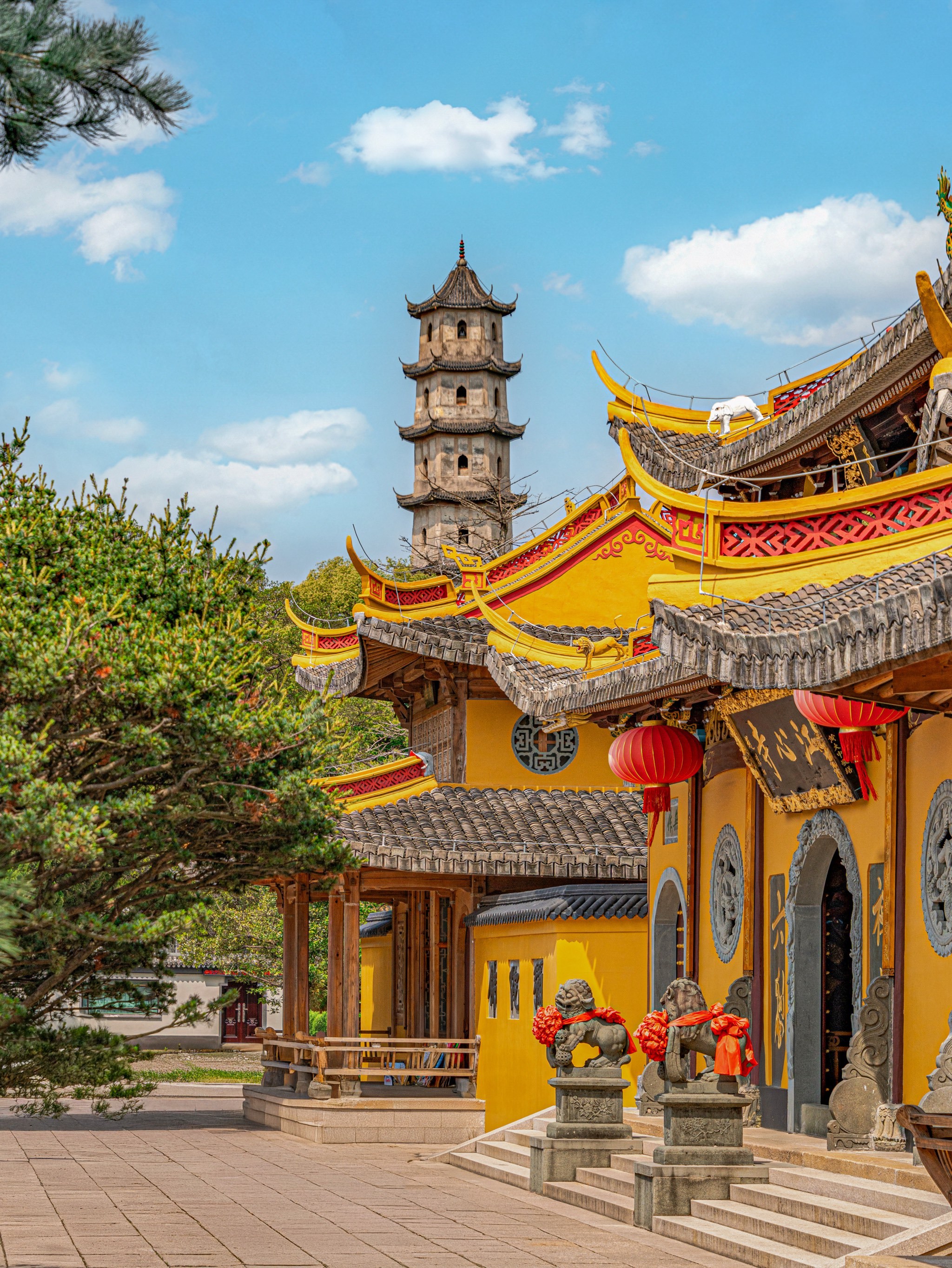 来温州,建议直接复制这条citywalk路线