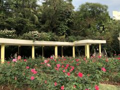 -人民公园(罗湖区)