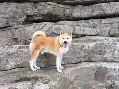 -长岛南北长山旅游景区