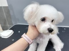 -1013 PET SHOP 宠物商店(近铁城市广场店)