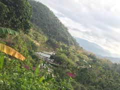 -呀诺达热带雨林