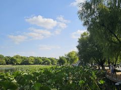 -长春市南湖公园