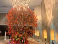 -广州天河希尔顿酒店